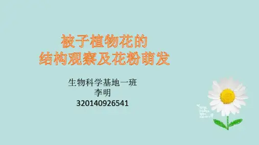 实验报告---被子植物花的结构观察及花粉萌发