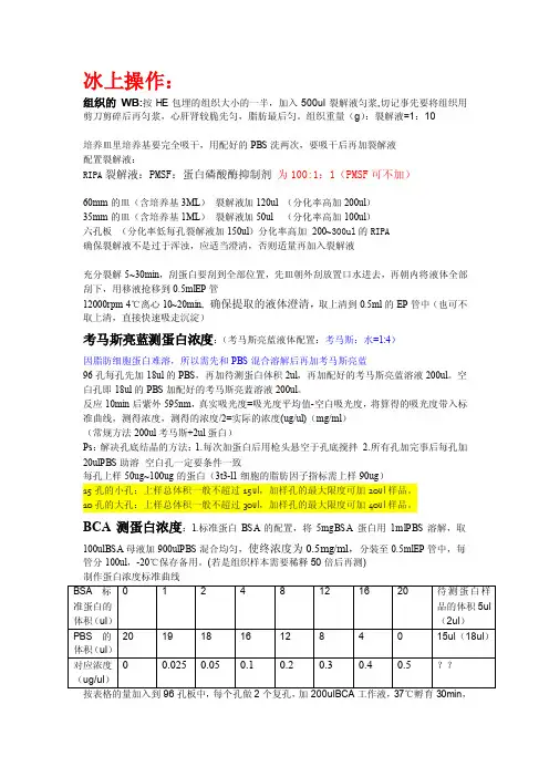 细胞蛋白提取做westernblot