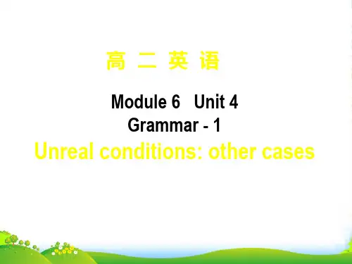 湖南师大 高中英语 M6 U4 grammar 1课件 牛津版选修6