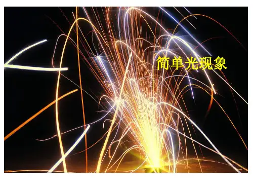 光现象复习课件PPT沪科版物理八年级上学期