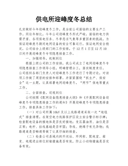 供电所迎峰度冬总结