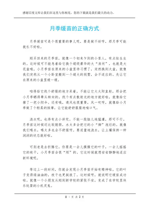 月季缓苗的正确方式