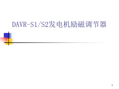 DAVRS1S2发电机励磁调节器四