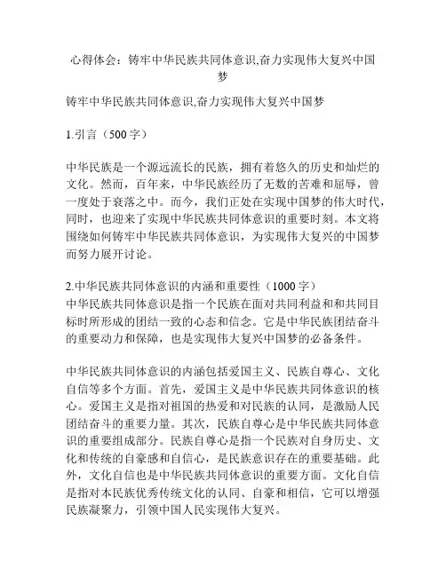 心得体会：铸牢中华民族共同体意识,奋力实现伟大复兴中国梦