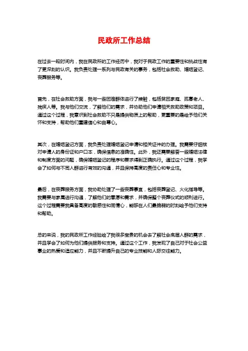 民政所工作总结