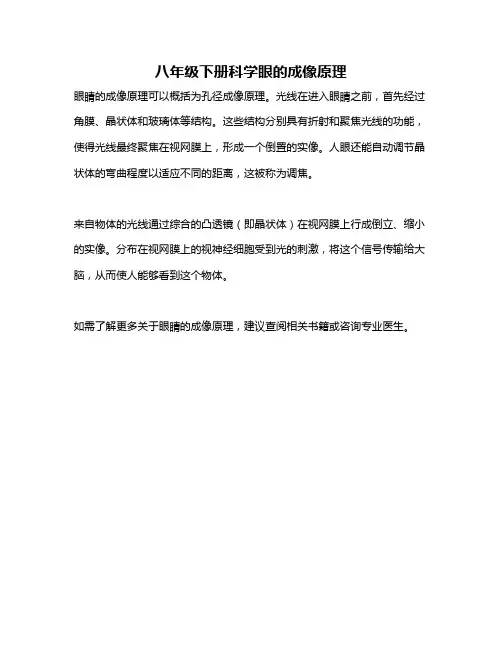 八年级下册科学眼的成像原理