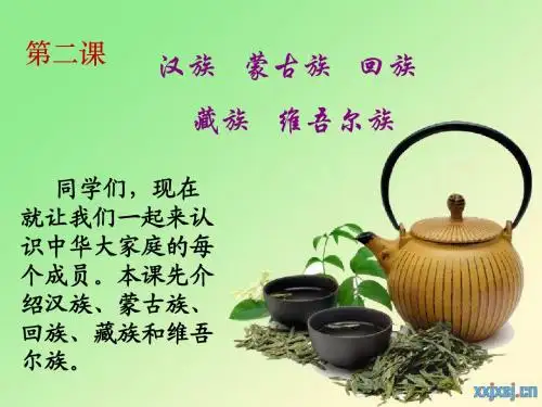 三四年级民族团结   第二课