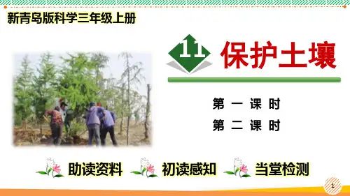 新青岛版科学三年级上册《保护土壤》优质课件