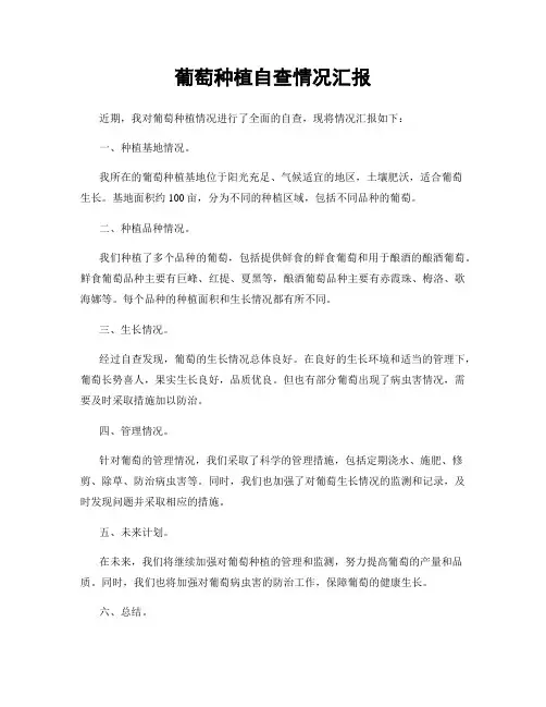 葡萄种植自查情况汇报