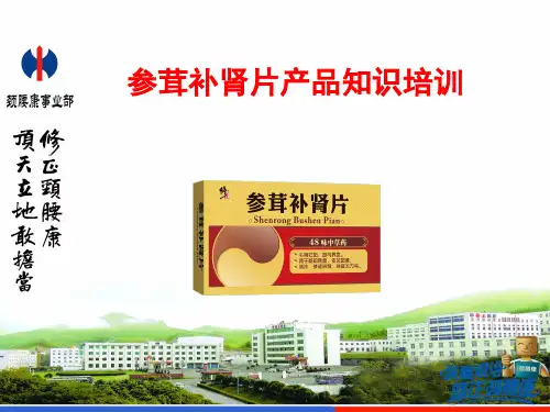 修正参茸补肾片产品知识