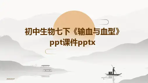 初中生物七下《输血与血型》ppt课件pptx-2024鲜版