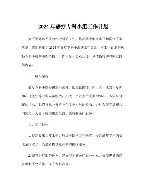 2024年静疗专科小组工作计划