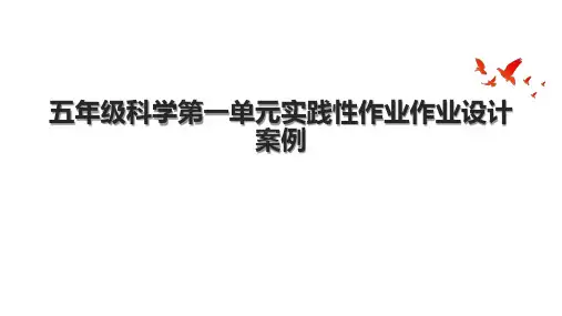 五年级科学第一单元实践性作业作业设计案例