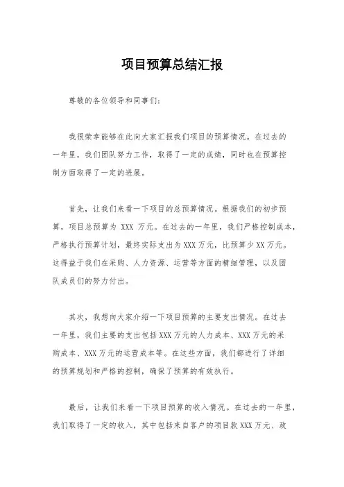项目预算总结汇报