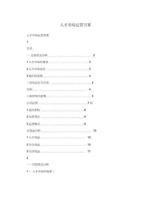 人才市场运营方案