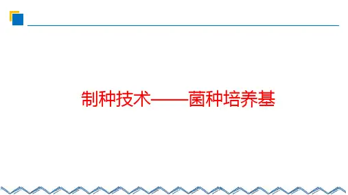 制种技术-菌种培养基
