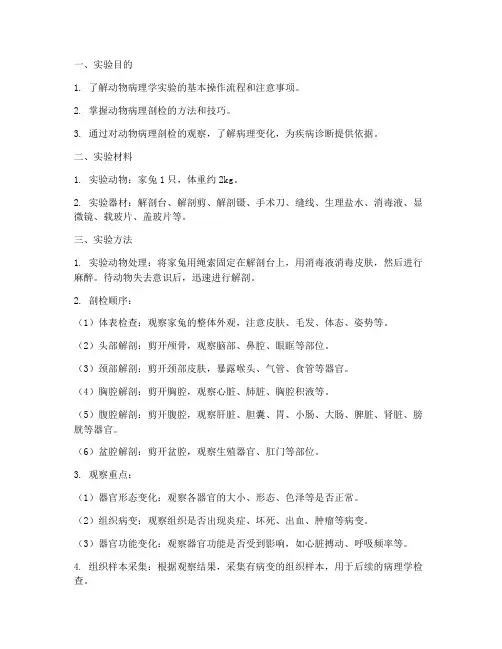 动物病理学实验报告剖检