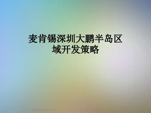 麦肯锡深圳大鹏半岛区域开发策略