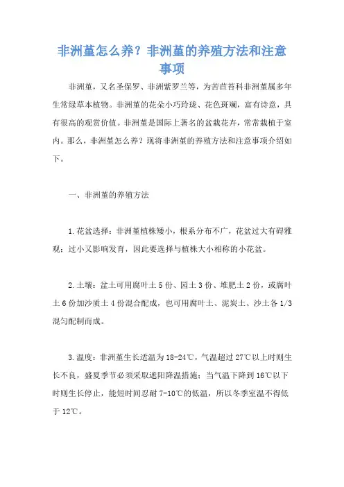 非洲堇怎么养？非洲堇的养殖方法和注意事项