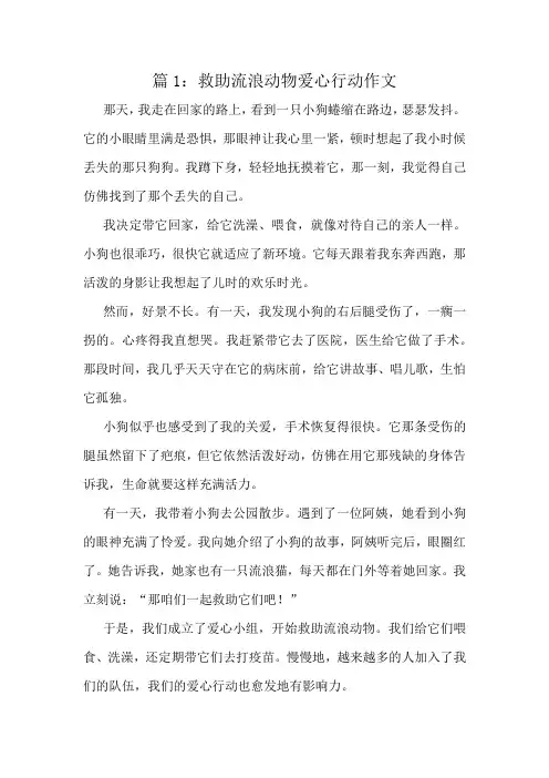 救助流浪动物爱心行动作文精选10篇