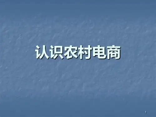 电商培训农村PPT课件