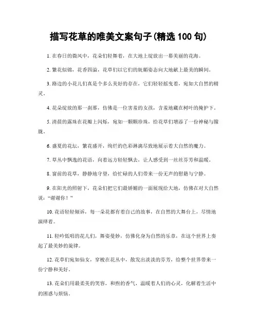 描写花草的唯美文案句子(精选100句)