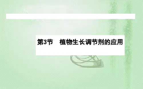 高中生物新人教版选择必修153植物生长调节剂的应用课件(71张)