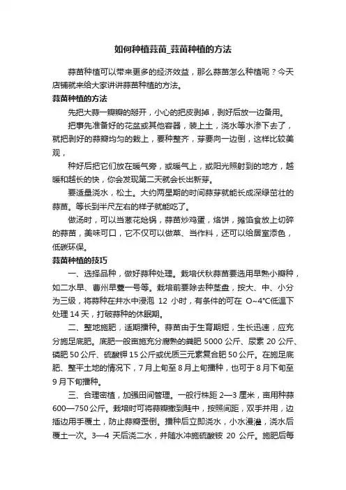 如何种植蒜苗_蒜苗种植的方法