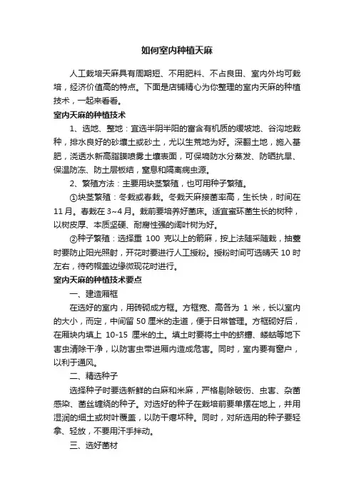 如何室内种植天麻