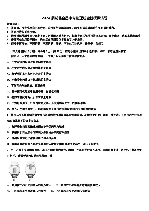 2024届湖北宜昌中考物理适应性模拟试题含解析