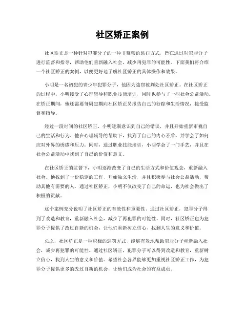 社区矫正案例