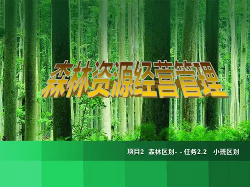 森林区划 小班区划