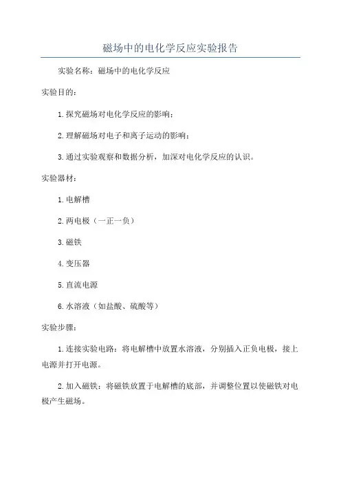磁场中的电化学反应实验报告
