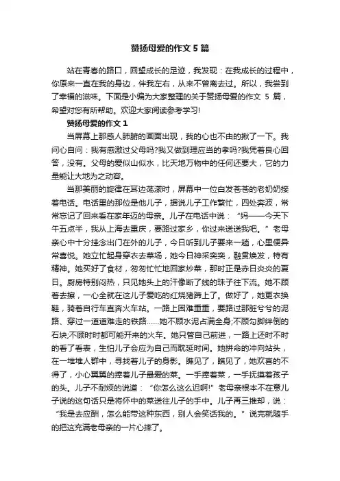 赞扬母爱的作文5篇