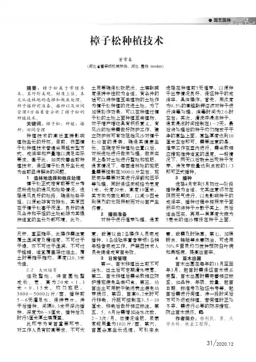 樟子松种植技术