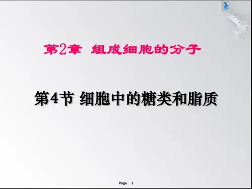人教版高中生物必修1：第4节  细胞中的糖类和脂质