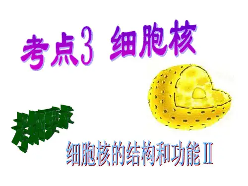 细胞核结构和功能(共30张PPT)