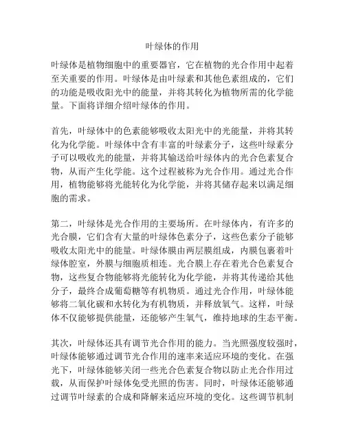 叶绿体的作用