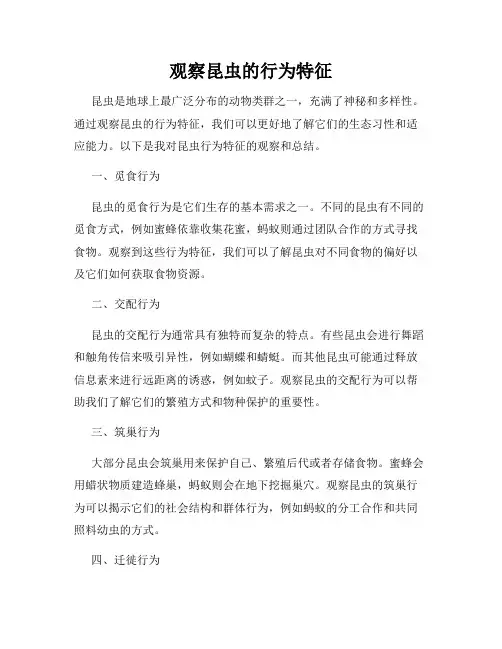 观察昆虫的行为特征