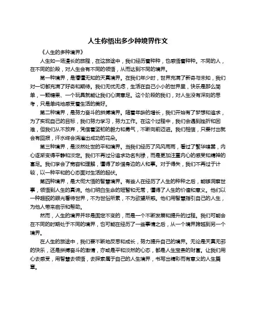 人生你悟出多少种境界作文
