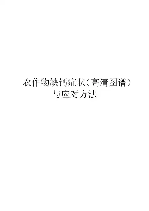 农作物缺钙症状(高清图谱)与应对方法