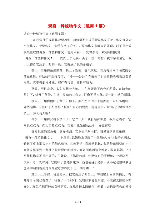 观察一种植物作文(通用4篇)
