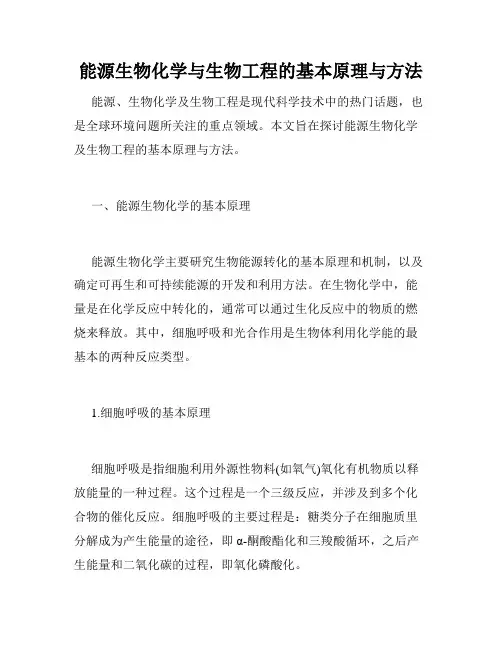 能源生物化学与生物工程的基本原理与方法