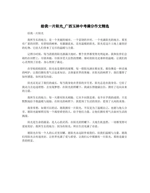给我一片阳光_广西玉林中考满分作文精选