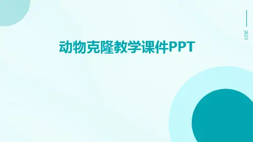 动物克隆教学课件ppt