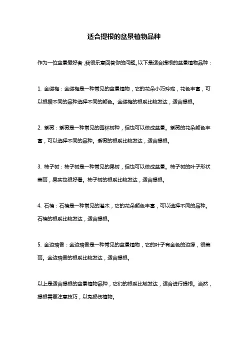 适合提根的盆景植物品种