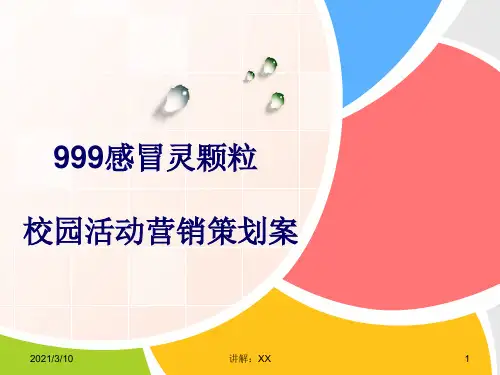 999广告策划案