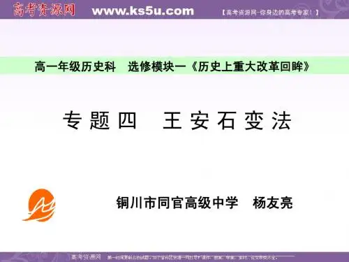 历史复习课件专题四《王安石变法》(人民版选修1)