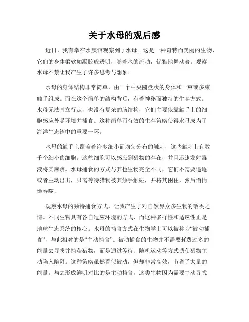 关于水母的观后感