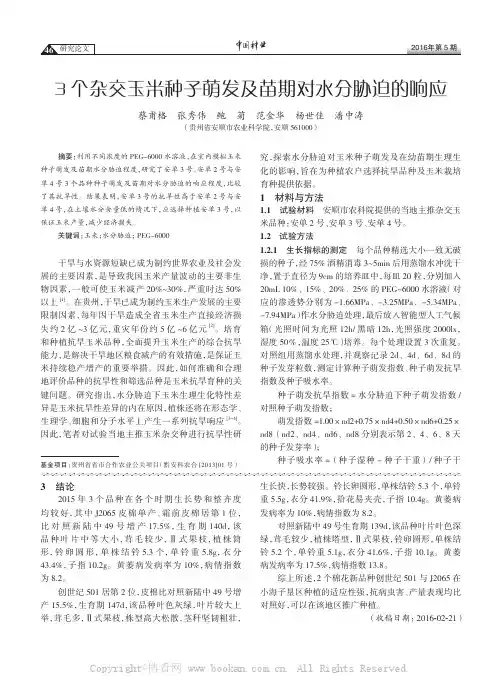 3个杂交玉米种子萌发及苗期对水分胁迫的响应